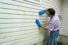 Best Historical Building Siding Restoration  in Farmville, NC